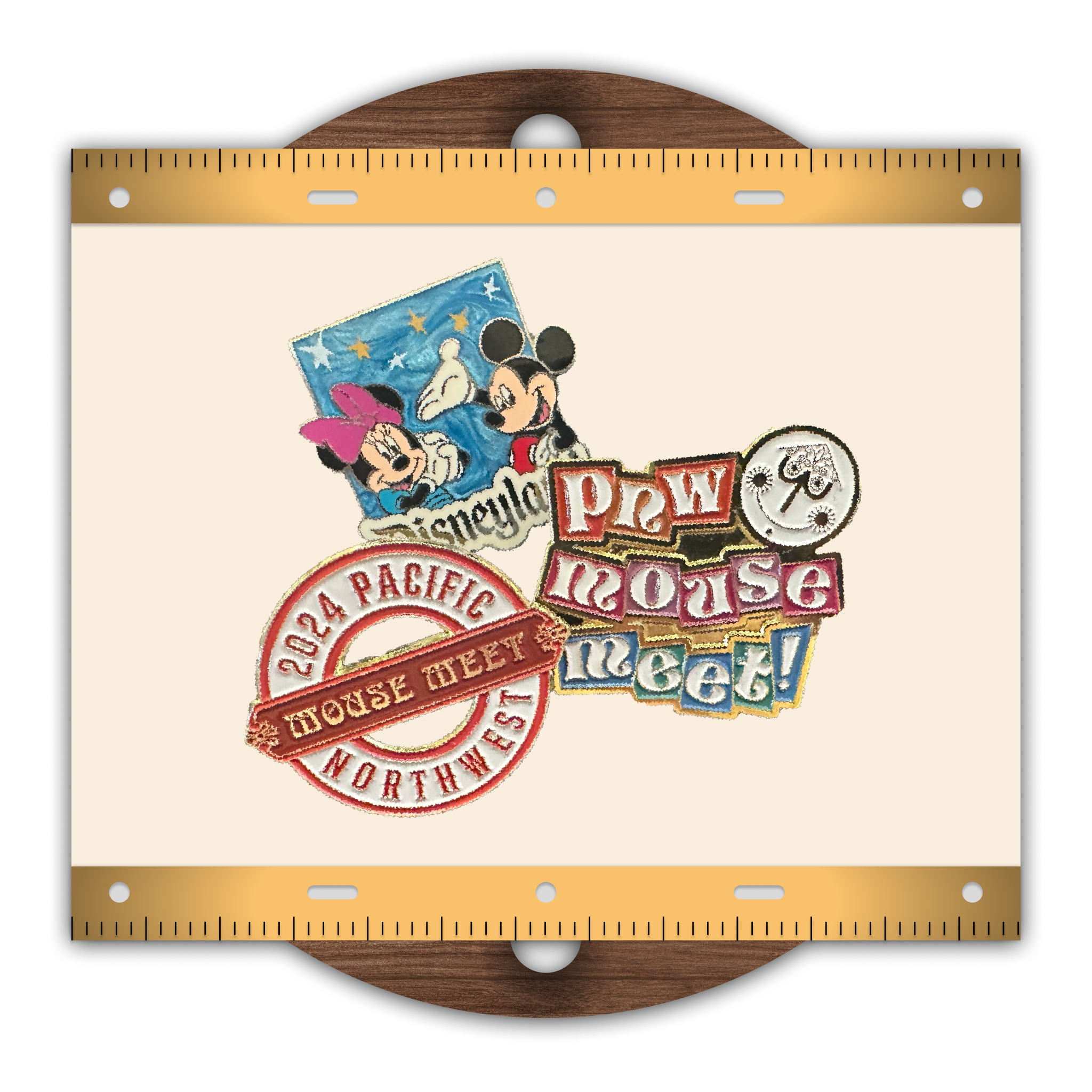 Participate in pin trading and education